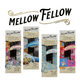 [T-1173-22] MELLOW FELLOW 2ML DISPOSABLE 6PK Box (King Tut (Hybrid))