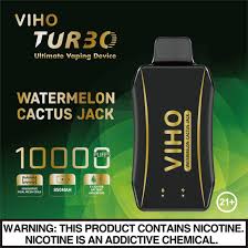 [Q-3835] VIHO TURBO 10000 PUFF 18ML 5PK WATERMELON CACTUS JACK