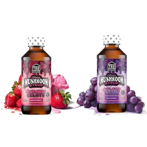 TRE HOUSE MAGIC MUSHROOM SYRUP 4oz 6PK a Box