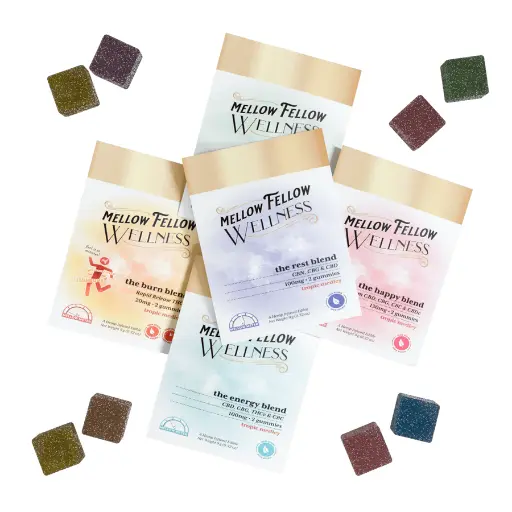 Mellow Fellow Wellness CBD- Gummies - 100mg 2CT